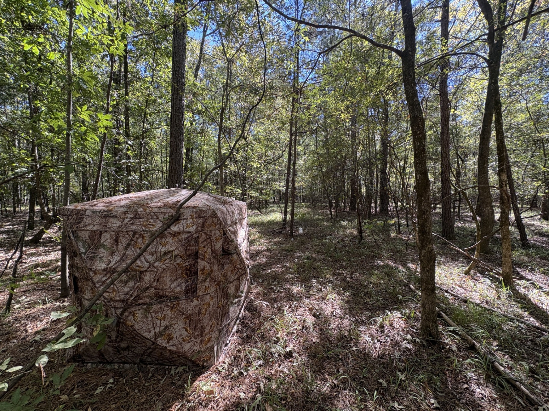 Camouflage hunting blind in the timber at Flatwood 40 Tract, Marengo County, Alabama