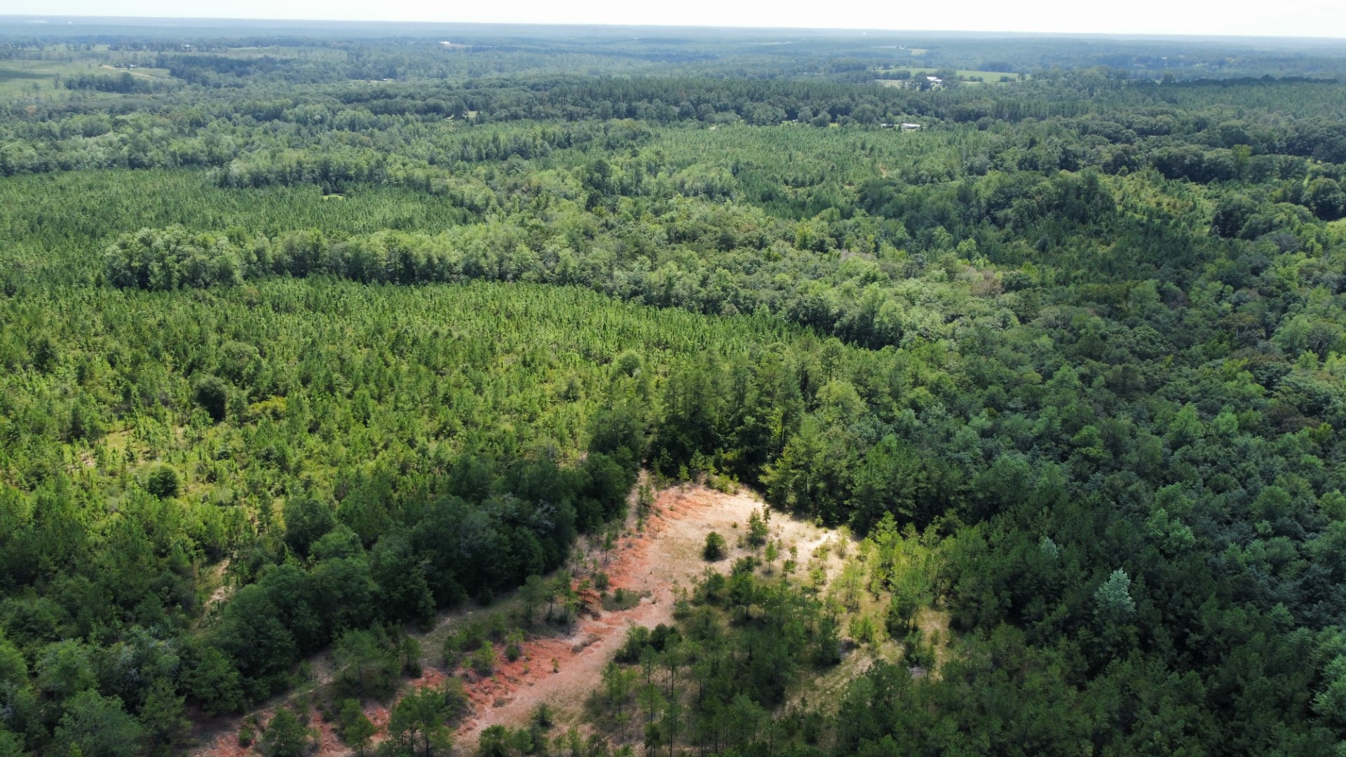 Aerial of rolling timber and an exposed clay slope