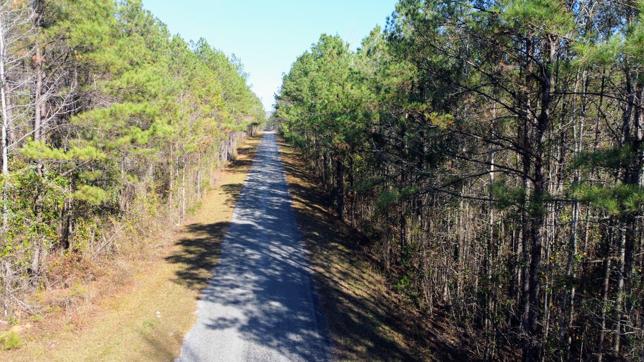 High aerial showing planted pines and surrounding hardwoods at North Perry 130 Tract, Perry County, Alabama