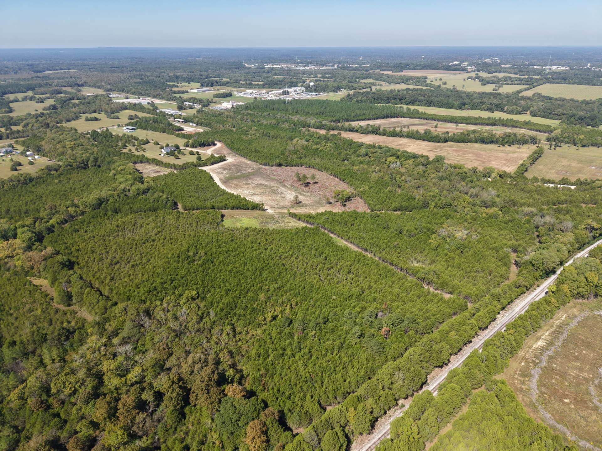 Wide aerial of Cedar Junction's wooded acreage and cleared areas with Demopolis farmland beyond