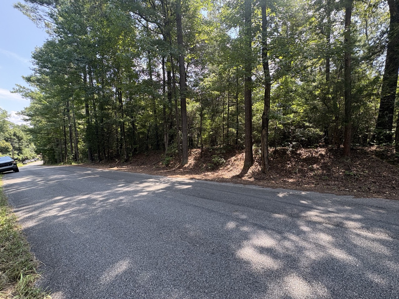 Wooded bank and street frontage along 3rd Place East in Tuscaloosa