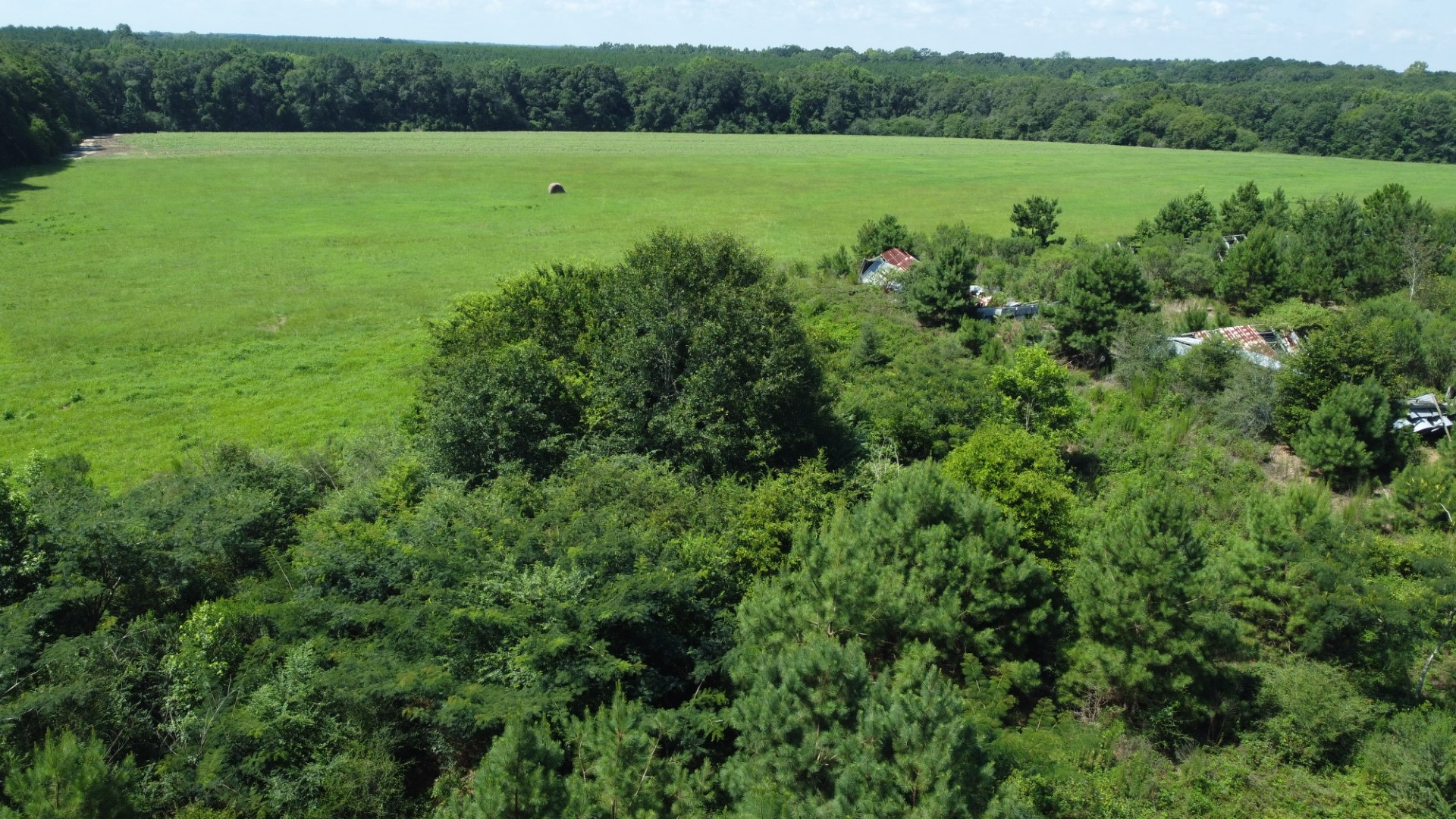 Old tin-roof sheds at the edge of the timber, overlooking the pasture