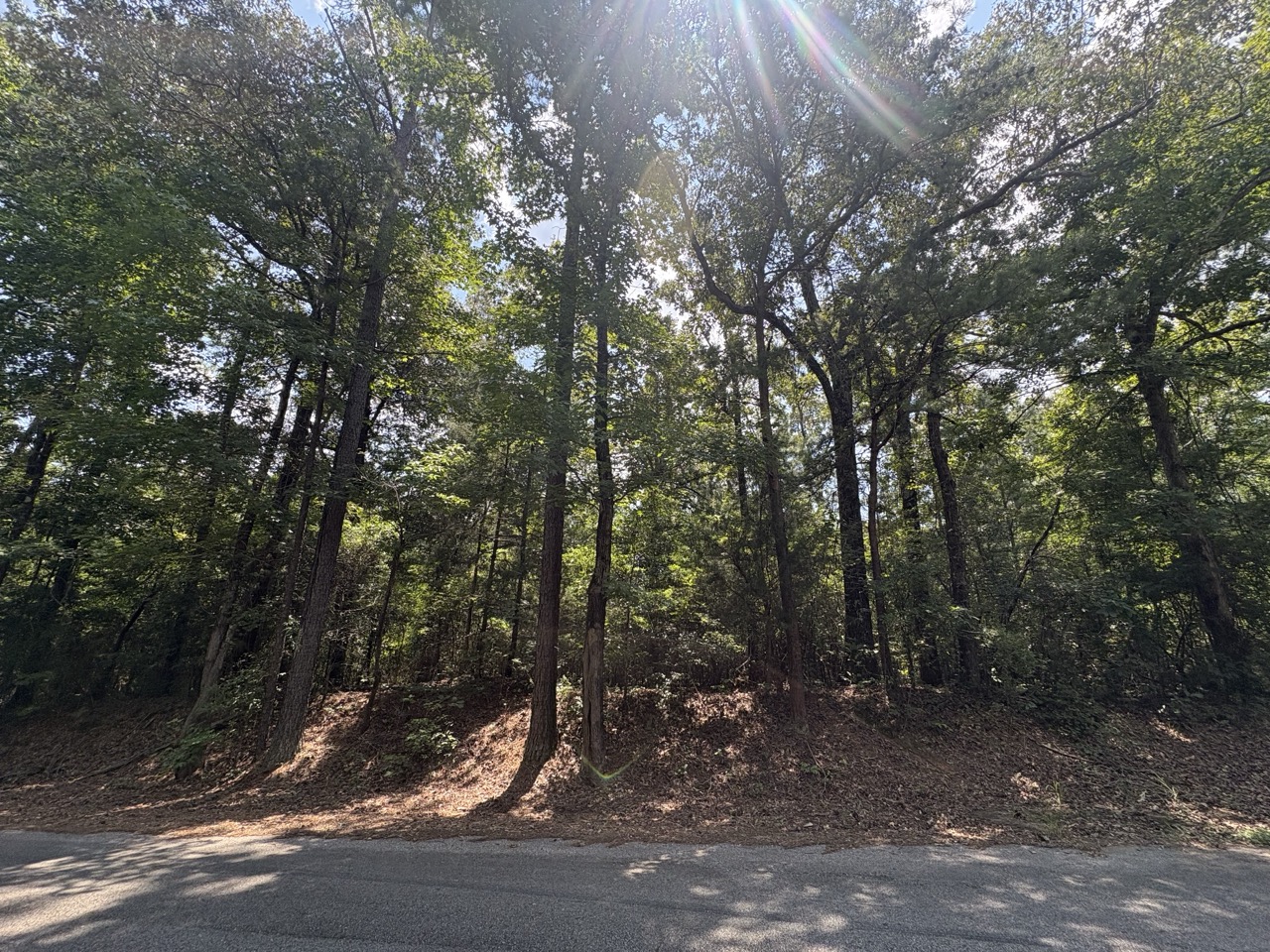 Roadside verge and wooded embankment in front of Woodmont Lots 1 and 2