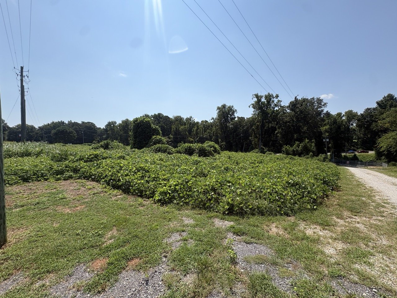 Open ground on the lot, with Cracker Asphalt Road to the right