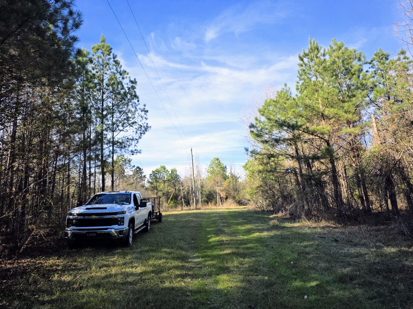 Grassy internal lane through the timber at North Perry 130 Tract, Perry County, Alabama