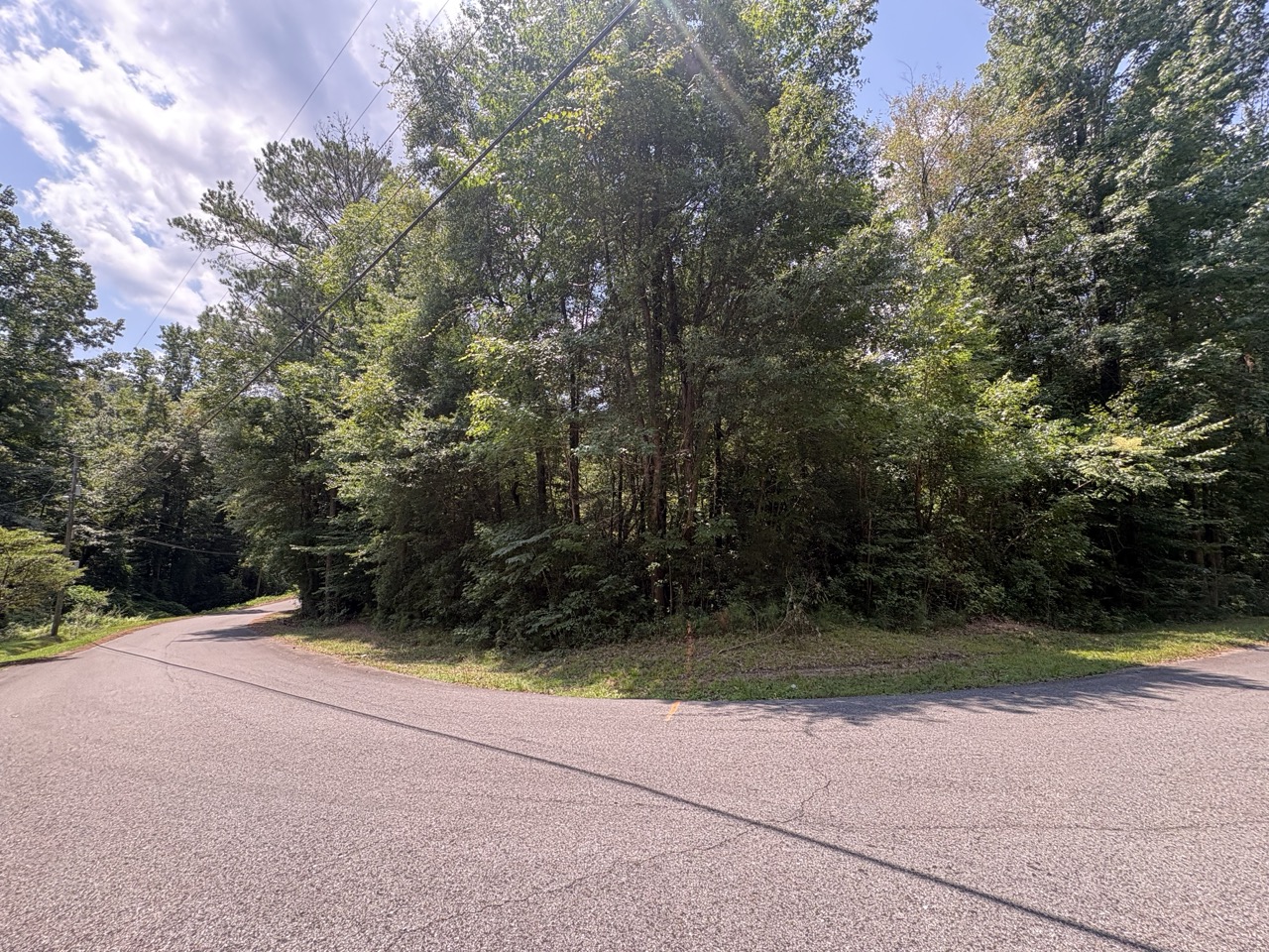 Wooded parcel at a curve in the street within the Woodmont Subdivision