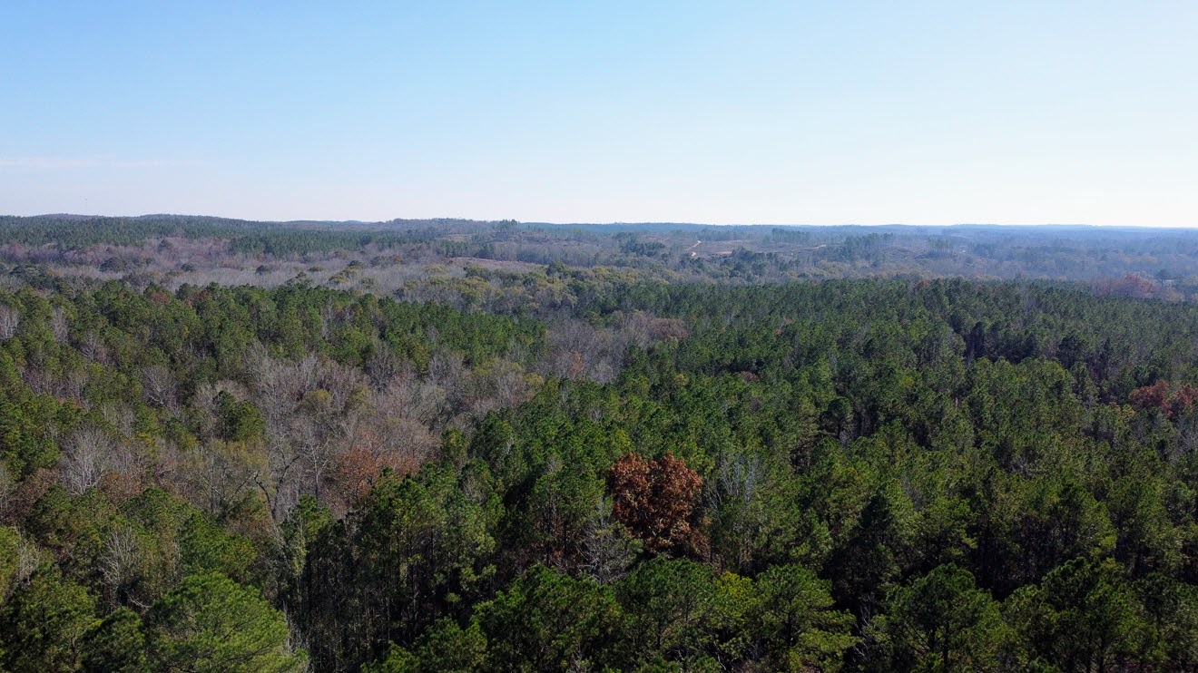 Wide aerial across mature timber and rolling woodland at North Perry 130 Tract, Perry County, Alabama