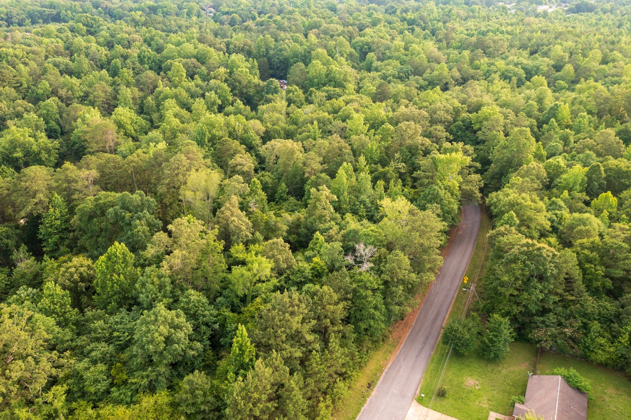 Aerial of Woodmont Subdivision timber bordering a residential street and homes