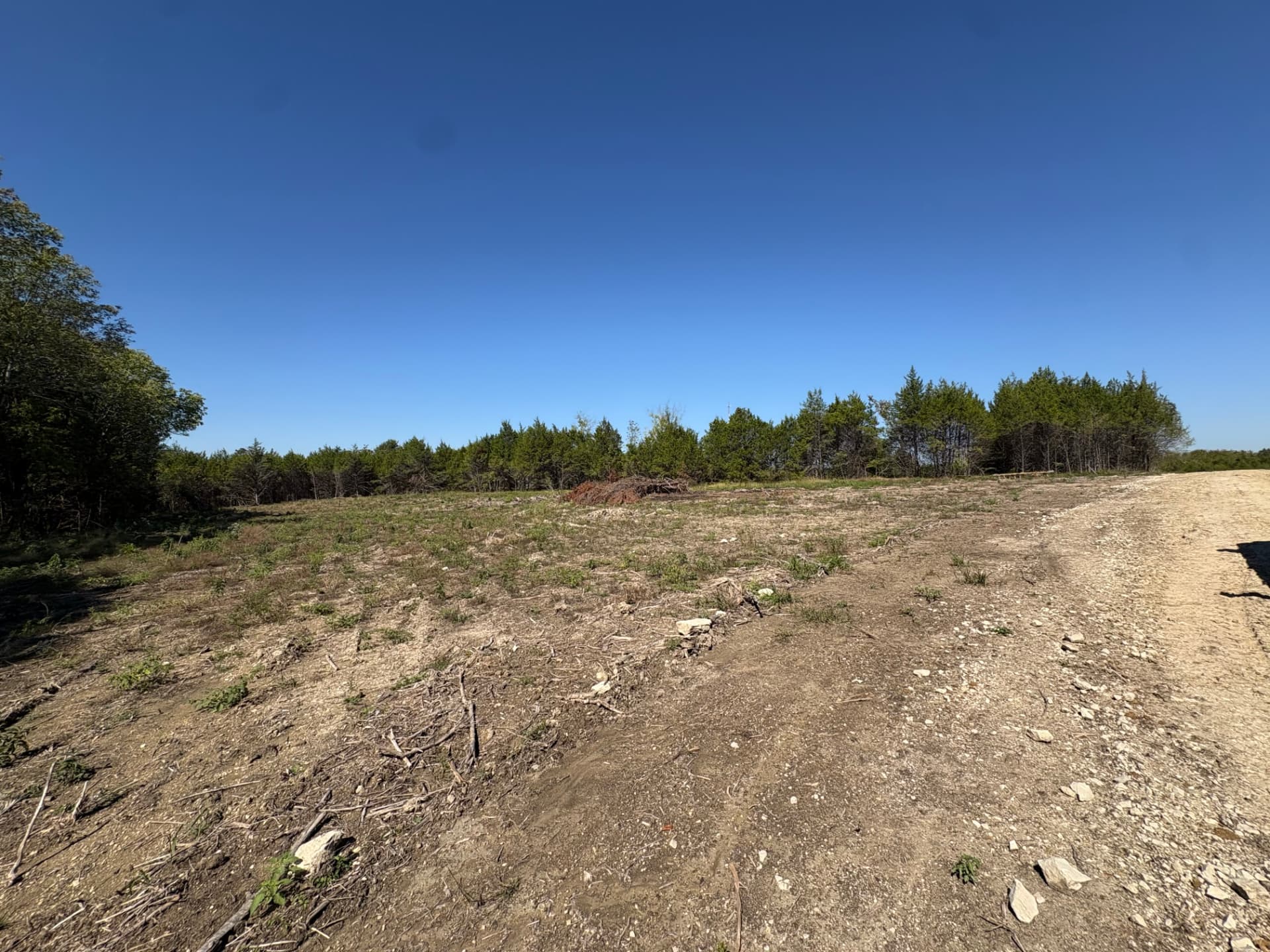 Grassy pipeline corridor lined by cedar and pine timber