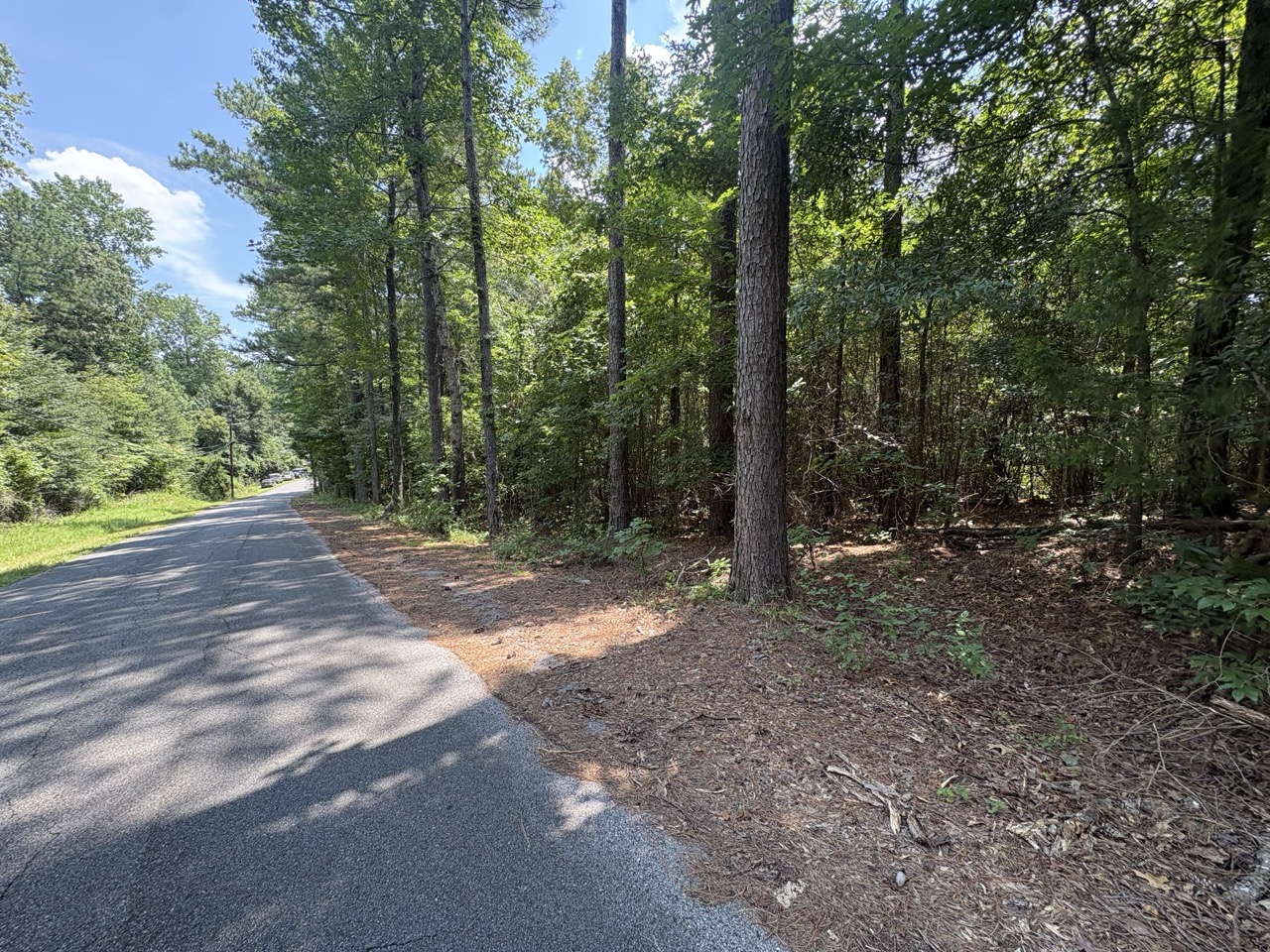 Pine frontage along 3rd Place East at the Woodmont Lots 1 and 2 homesite