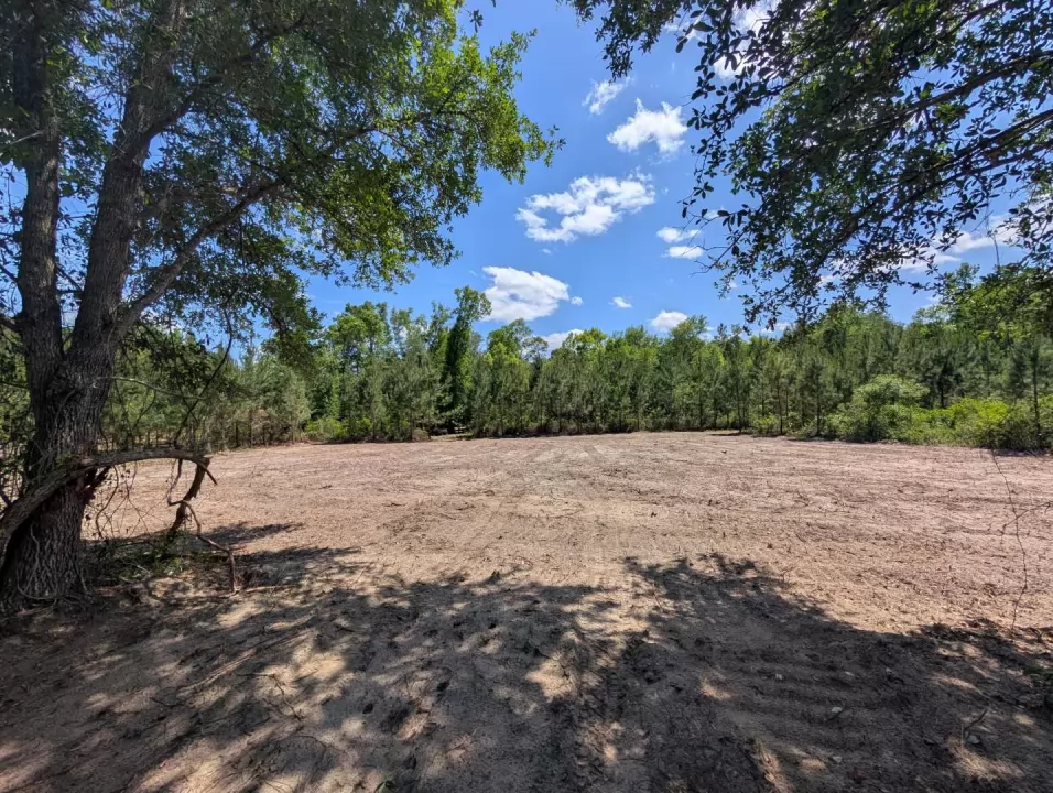 Cleared homesite opening ringed by pines and hardwoods at Owl Crossing, Cottondale