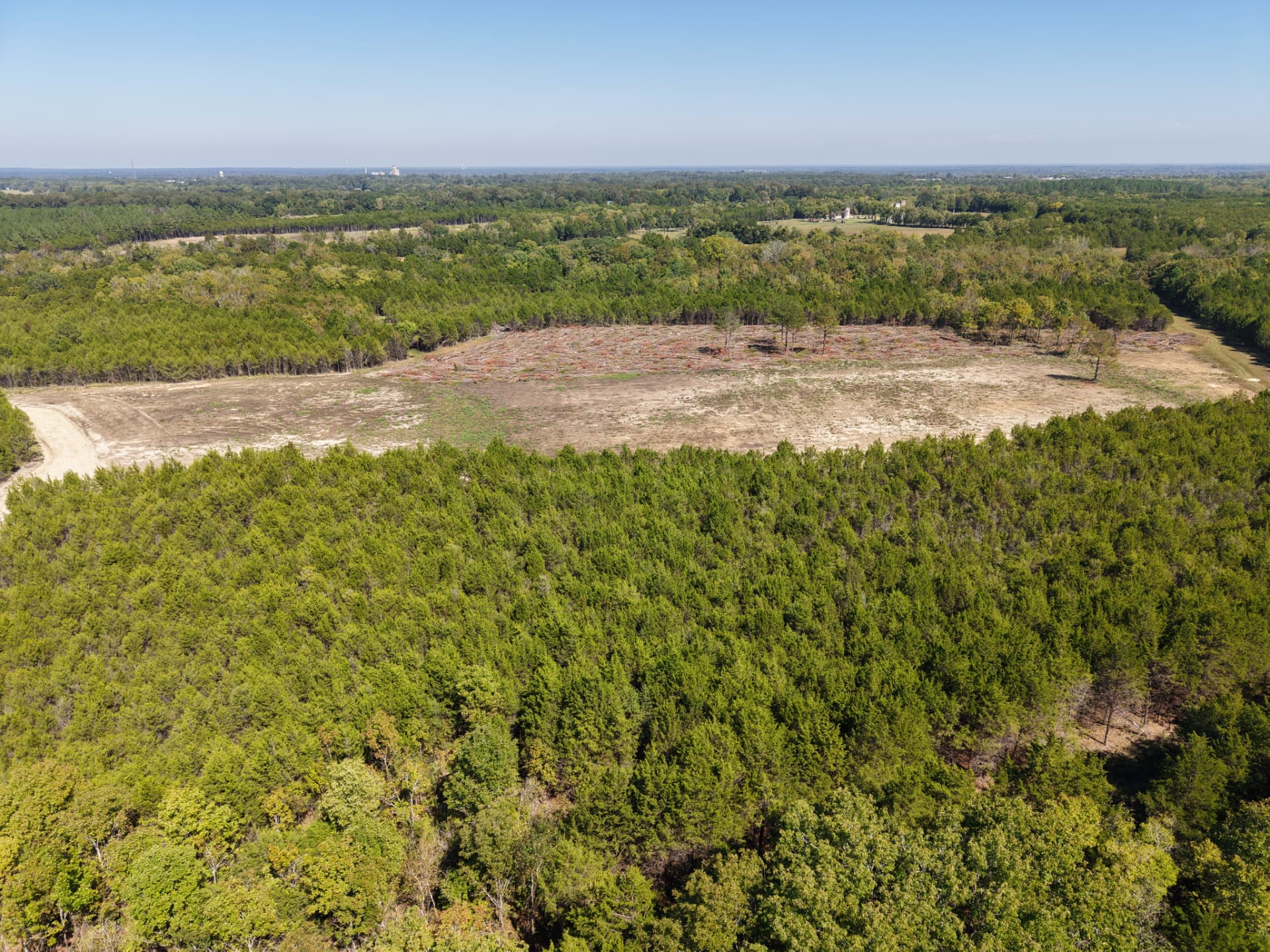 Aerial of a large cleared opening ringed by cedar timber at Cedar Junction