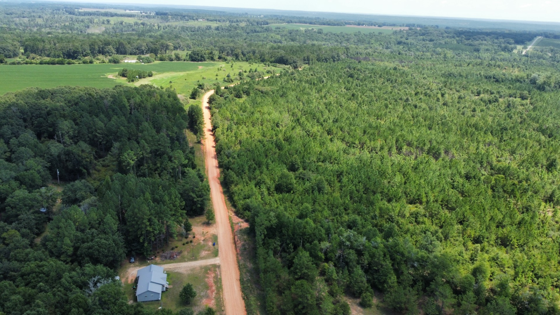 Aerial along Gant Red Level Road with timber on both sides