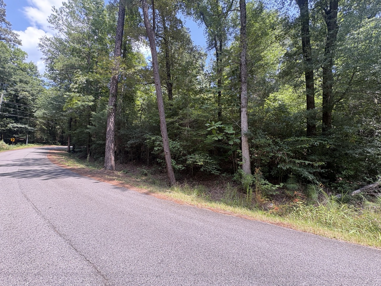 Roadside verge and wooded parcel edge at Woodmont Lot 40
