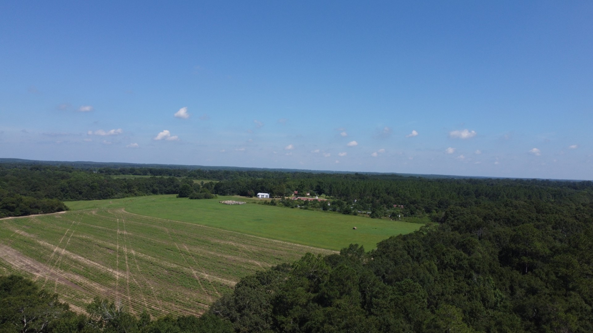 Aerial of the open crop and pasture ground with round bales and farm buildings beyond the timber line