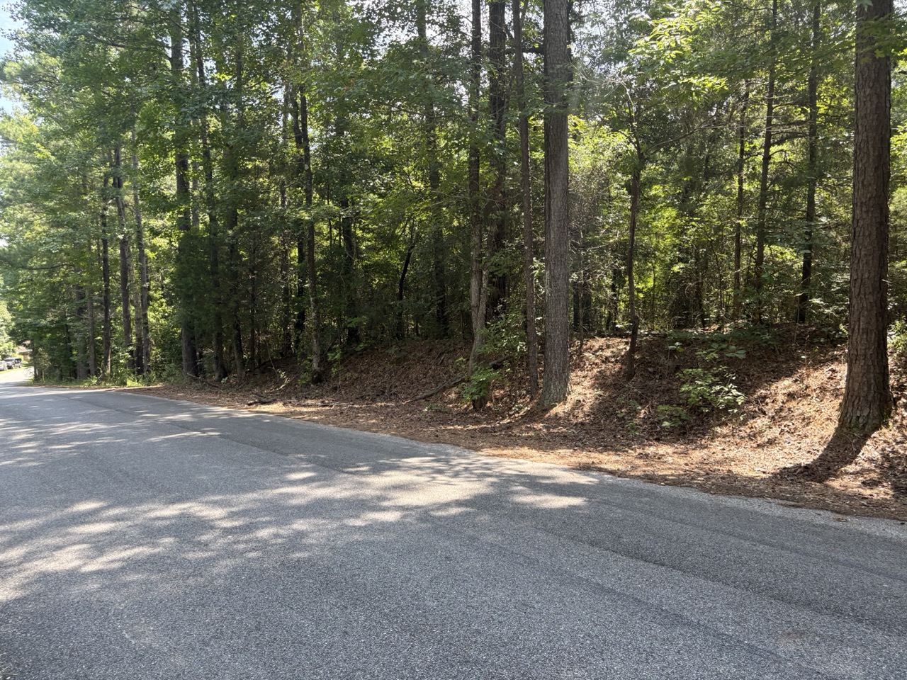 Pine-straw shoulder and sloping tree line at the Woodmont Lots 1 and 2 lot line