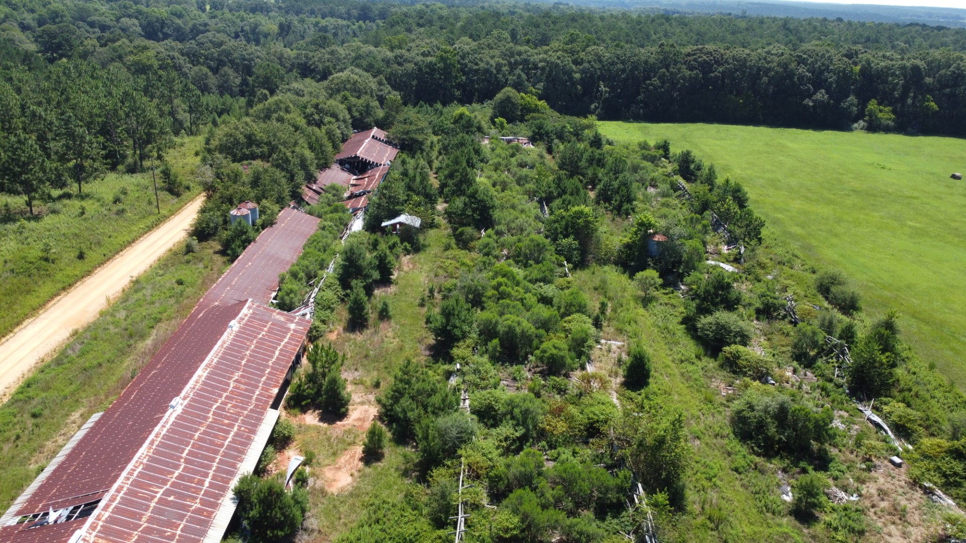 The former poultry houses with rusted roofs along the dirt road