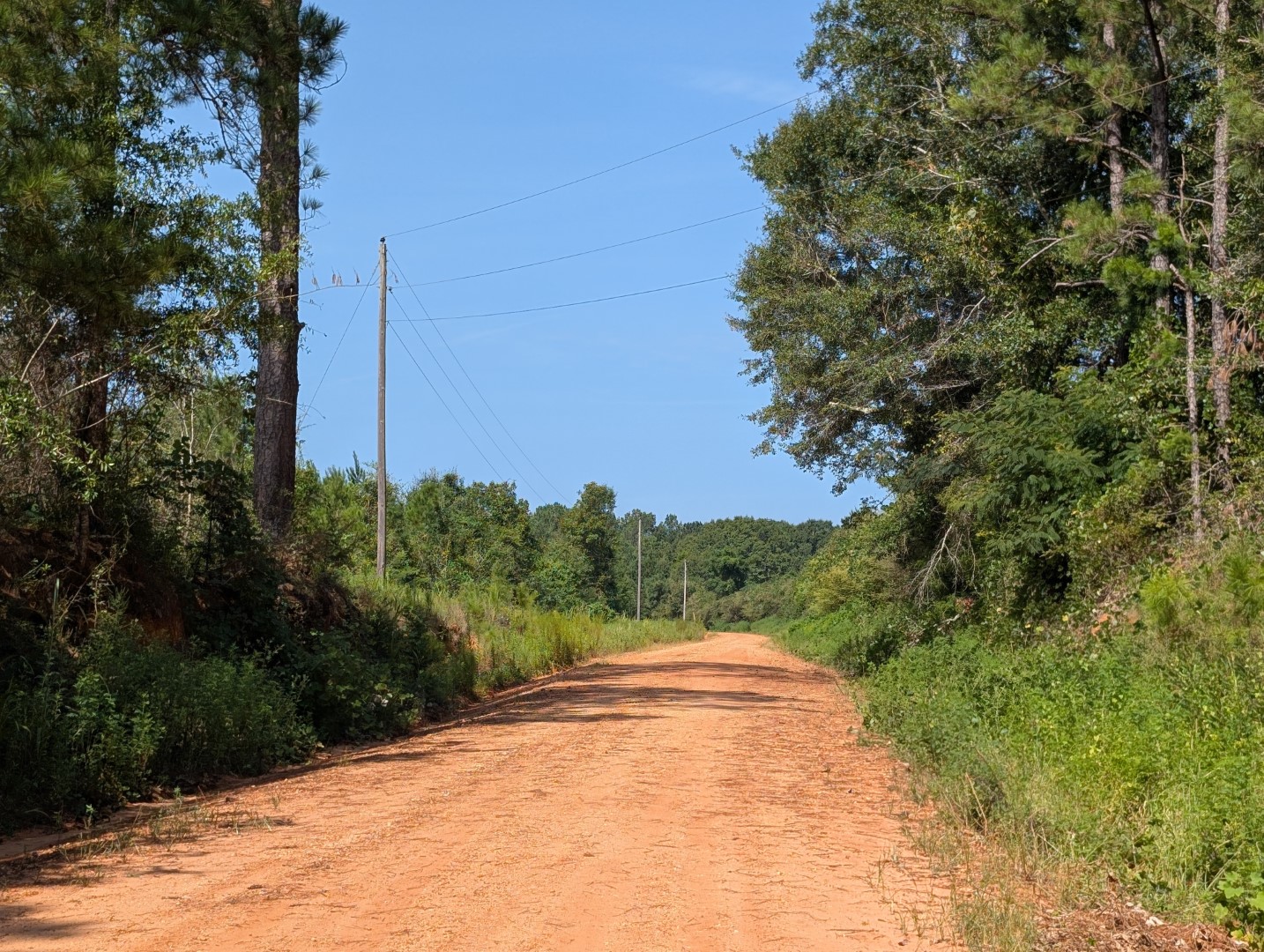 Dirt road frontage with power poles