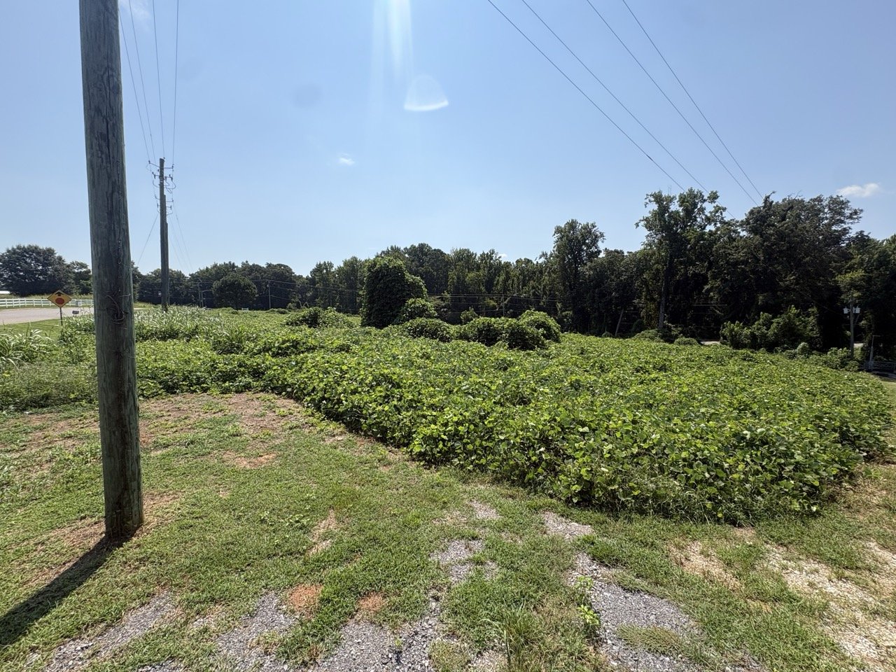The lot seen from Cracker Asphalt Road, with power lines along the road