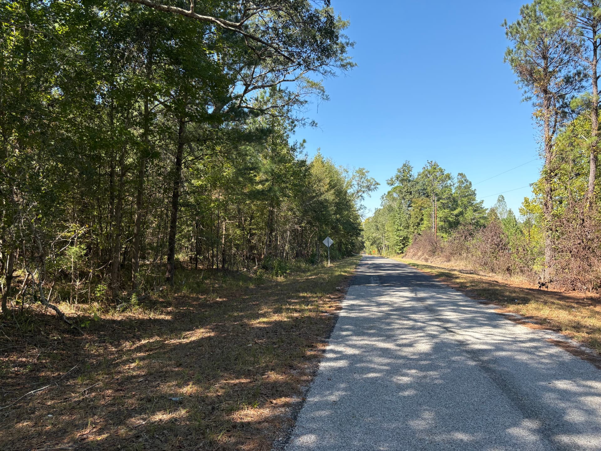 Paved County Road 38 frontage lined with timber