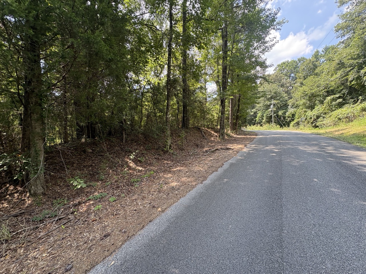Curving street frontage and wooded rise at Woodmont Lots 1 and 2