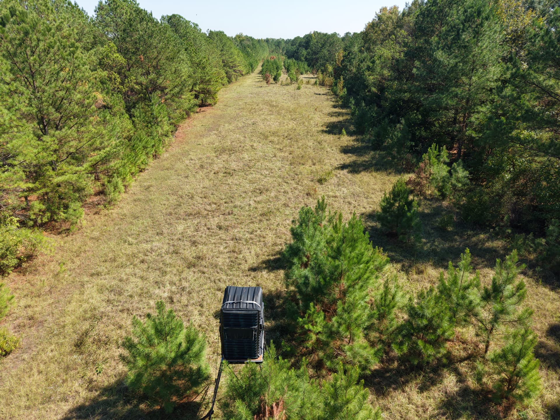 Aerial of the former runway wildlife strip with a box blind among young pines