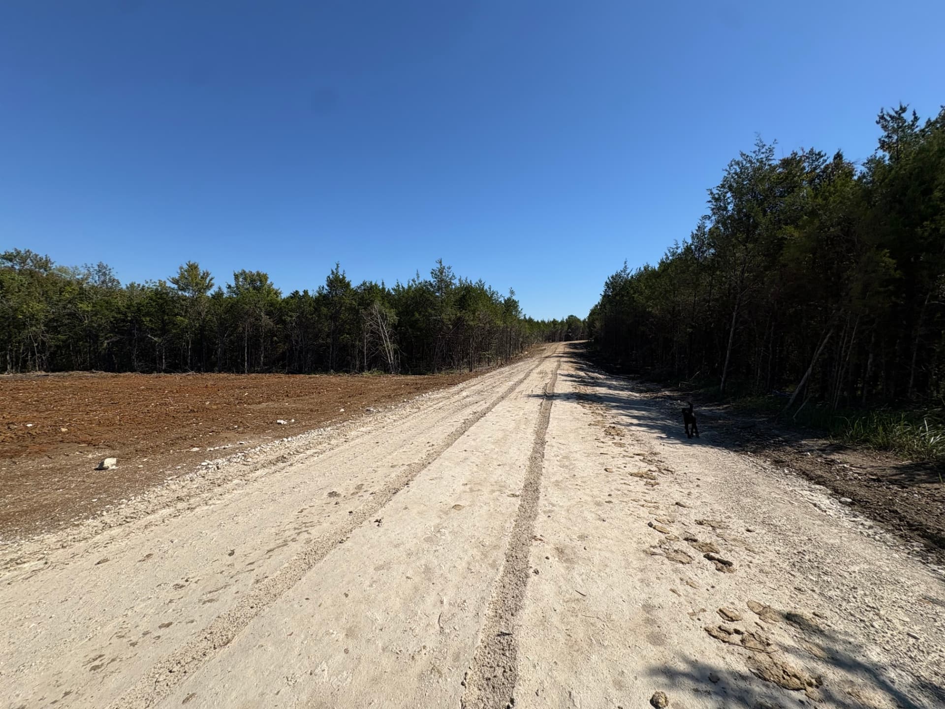 Ground-level view down the new private drive through the property