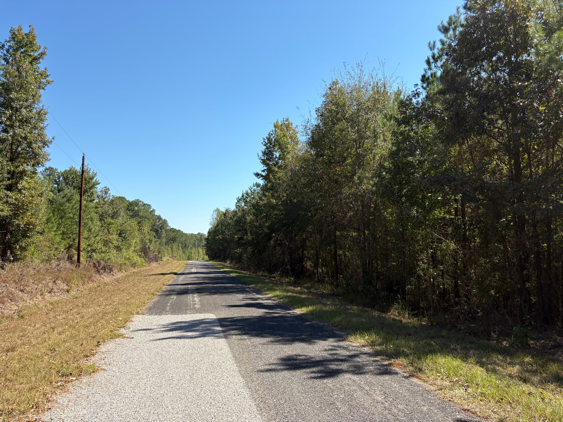 County Road 38 running along the property frontage