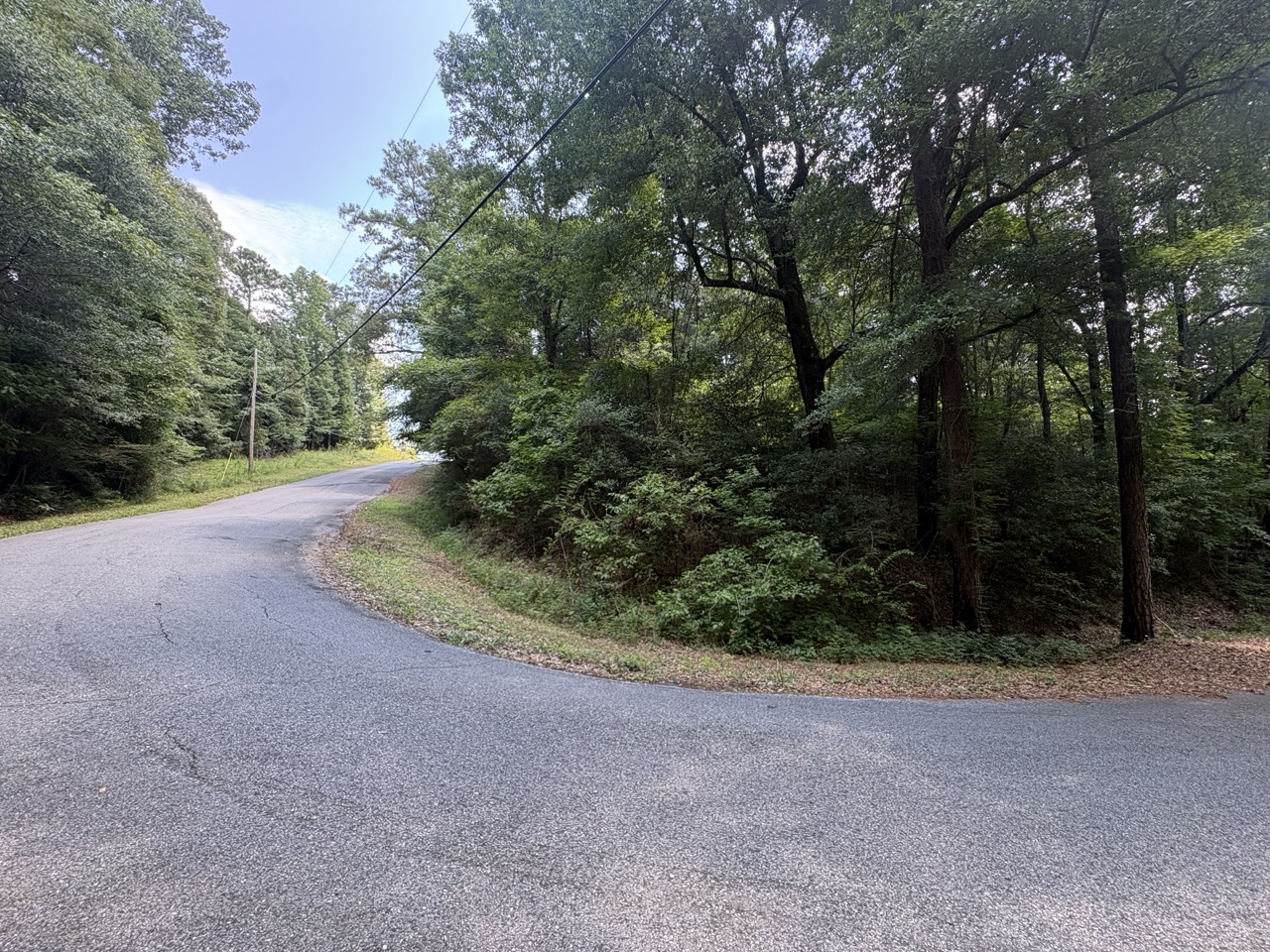 Curving paved street frontage along mature timber at Woodmont Lot 40