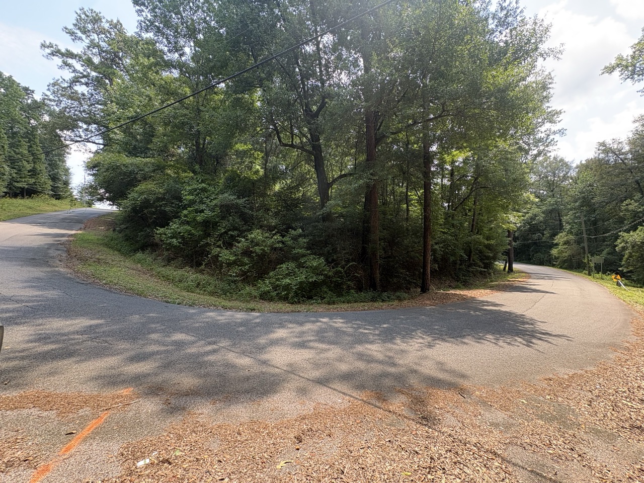 Paved street curving past the wooded Woodmont Lot 40 parcel