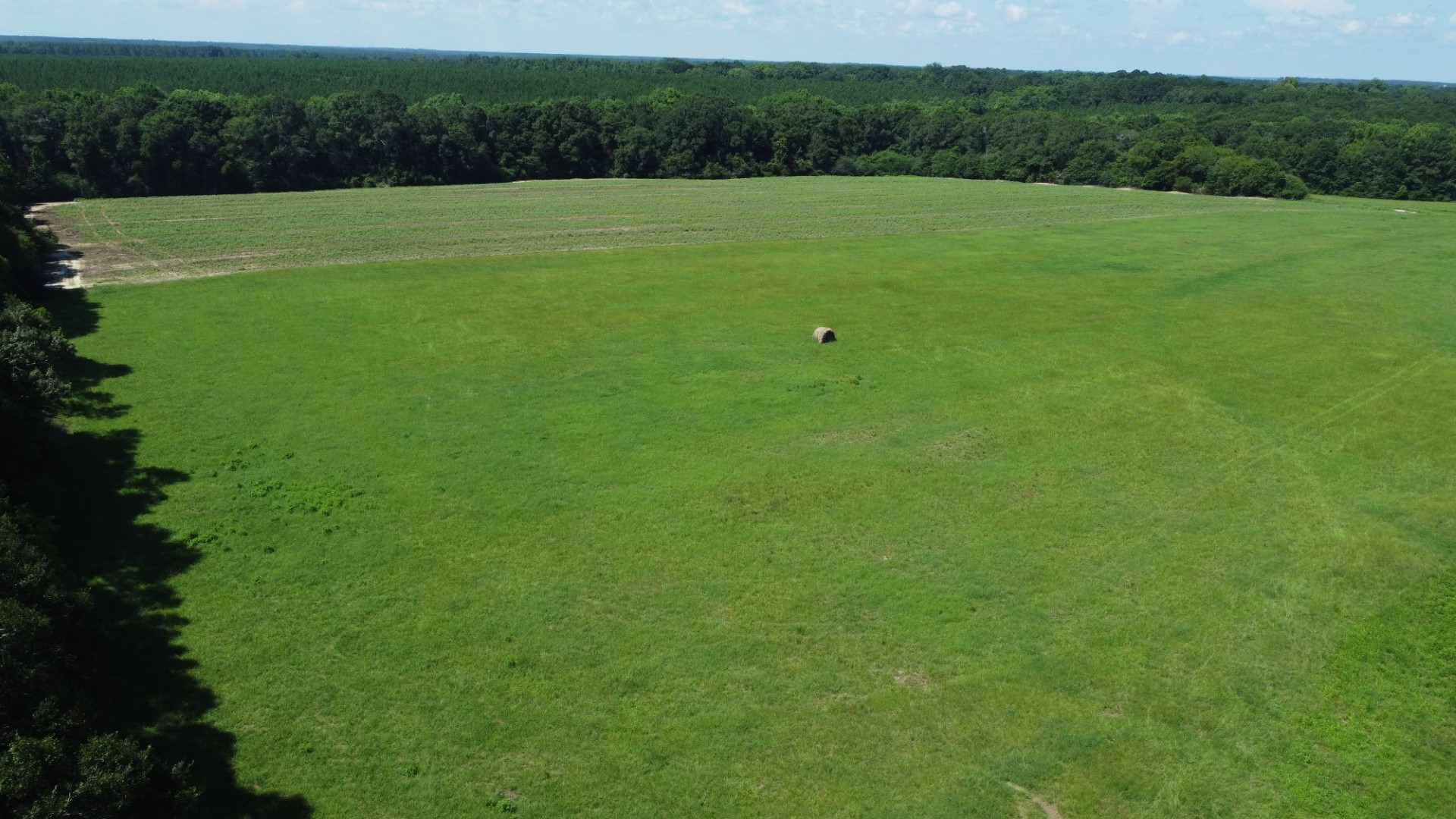 Aerial of the pasture and crop ground with a single round bale, timber all around