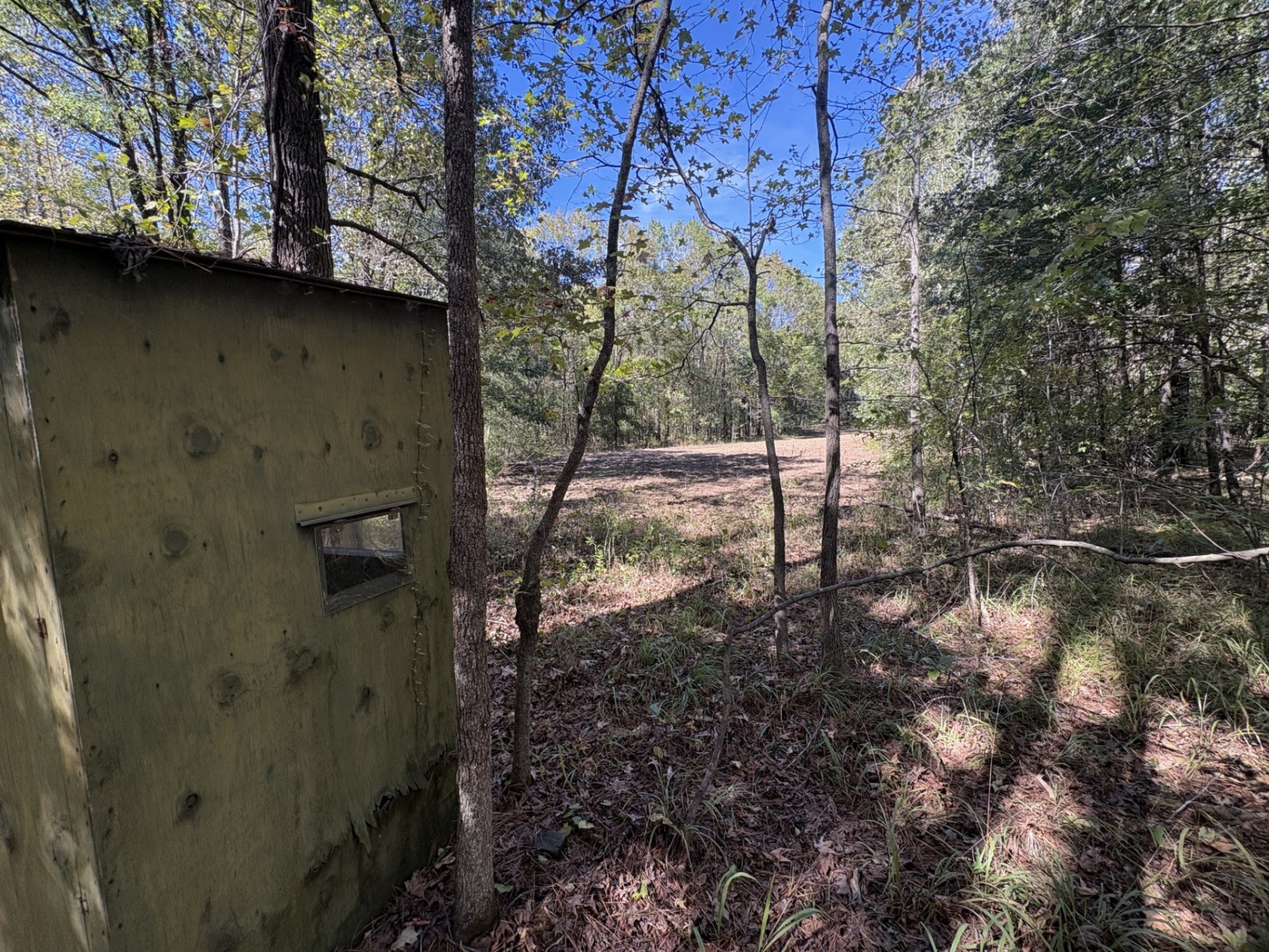 Shooting house overlooking a hunting opening at Flatwood 40 Tract, Marengo County, Alabama