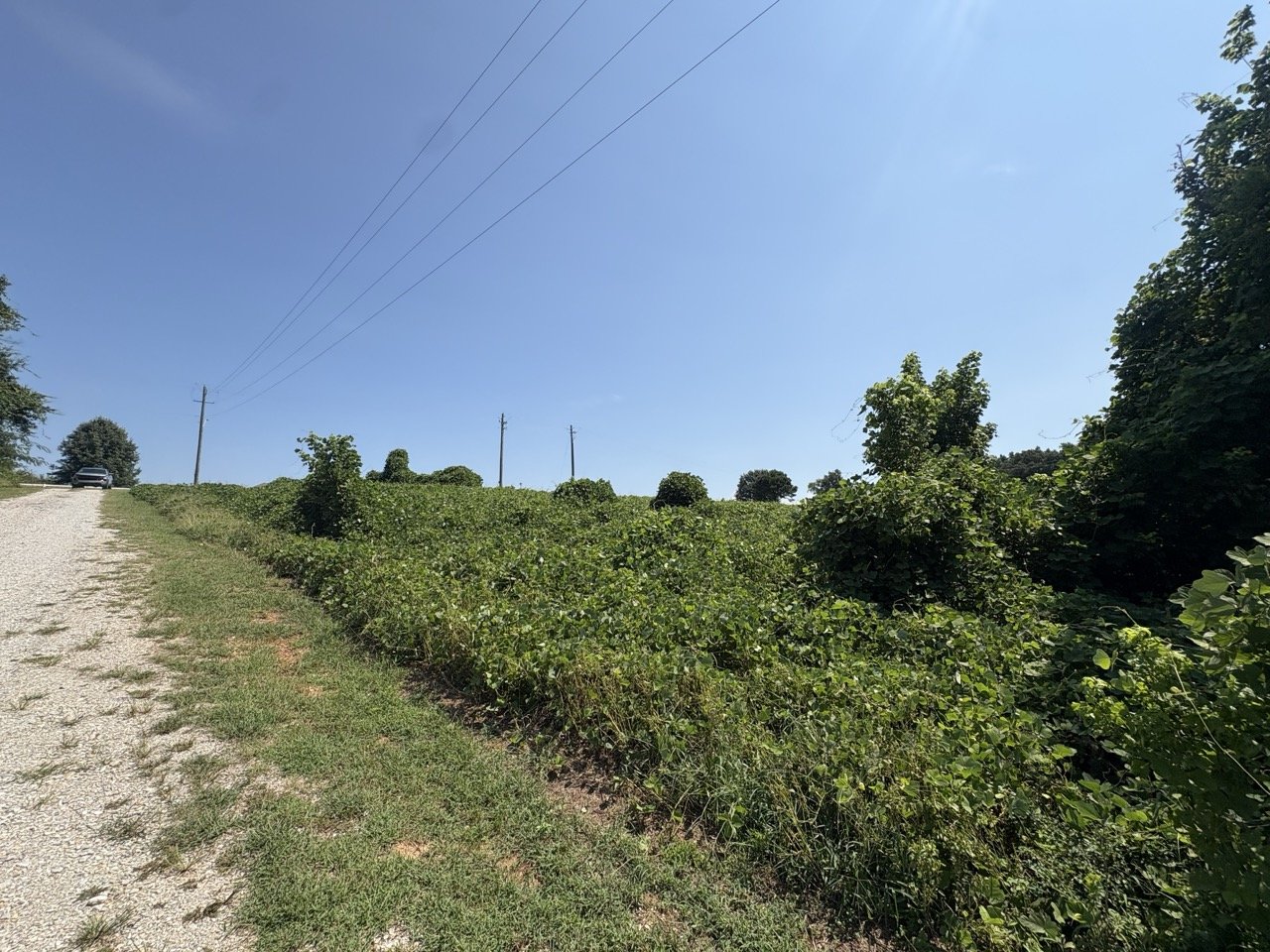 Lot frontage along the gravel shoulder