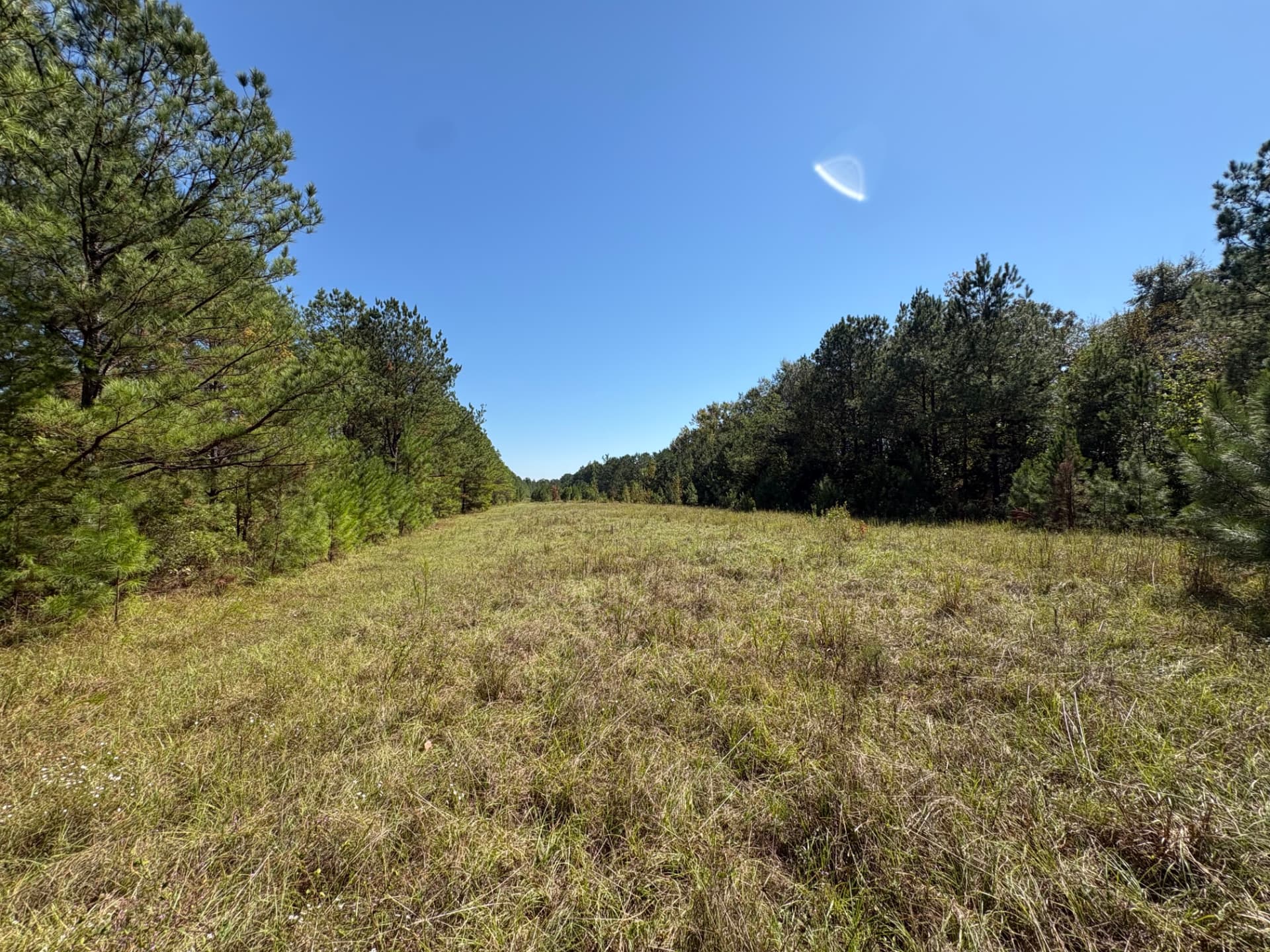 Ground-level view along the grassy former runway