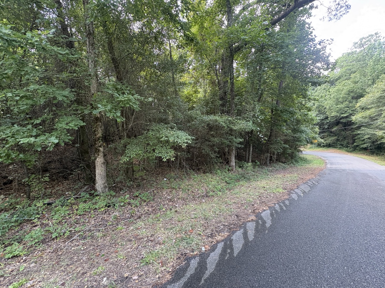 Roadside boundary and dense tree line at Woodmont Lot 40 on 2nd Street East