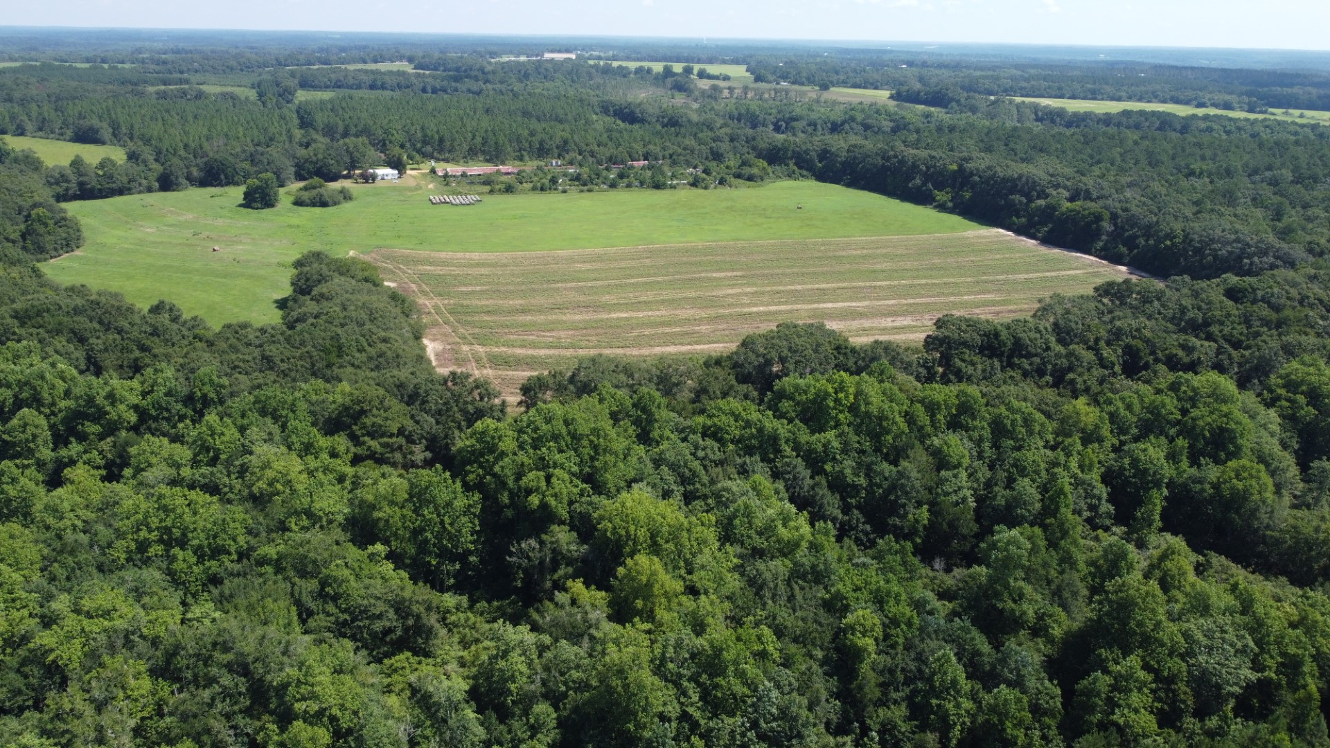 Aerial of the partly harvested crop field surrounded by timber