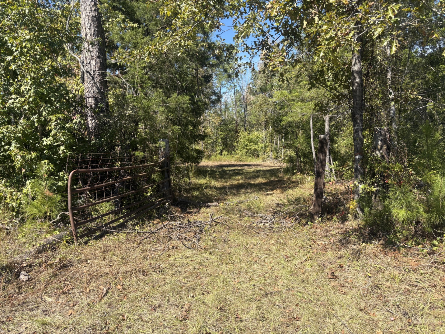 Internal trail entering a woodland clearing at Flatwood 40 Tract, Marengo County, Alabama