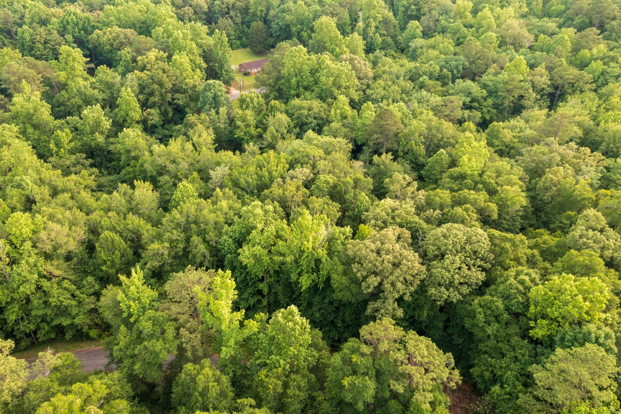 Aerial of the continuous tree canopy across the Woodmont Subdivision portfolio