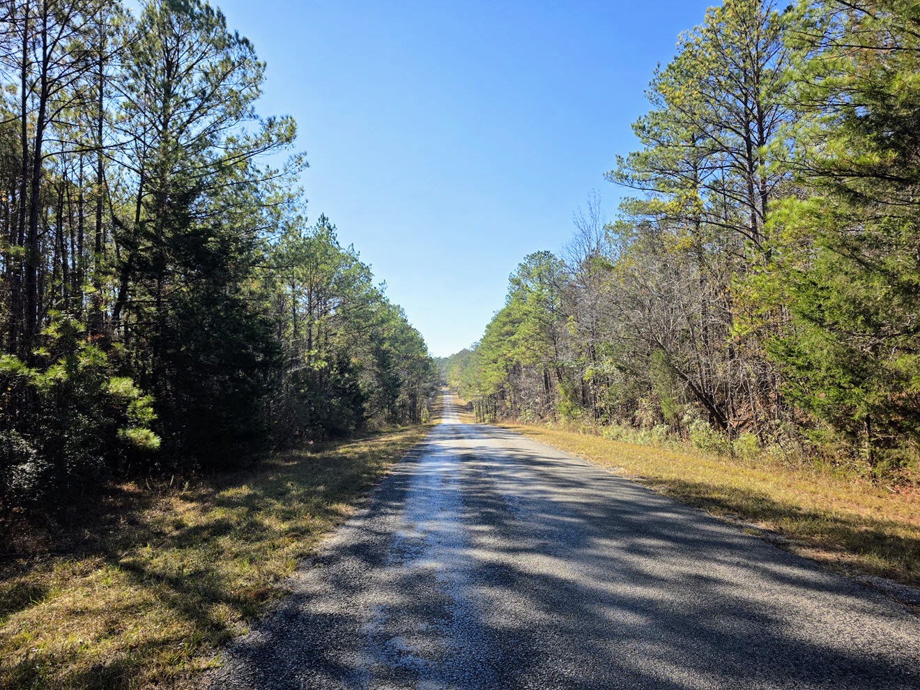 County Road 23 passing through wooded frontage at North Perry 130 Tract, Perry County, Alabama