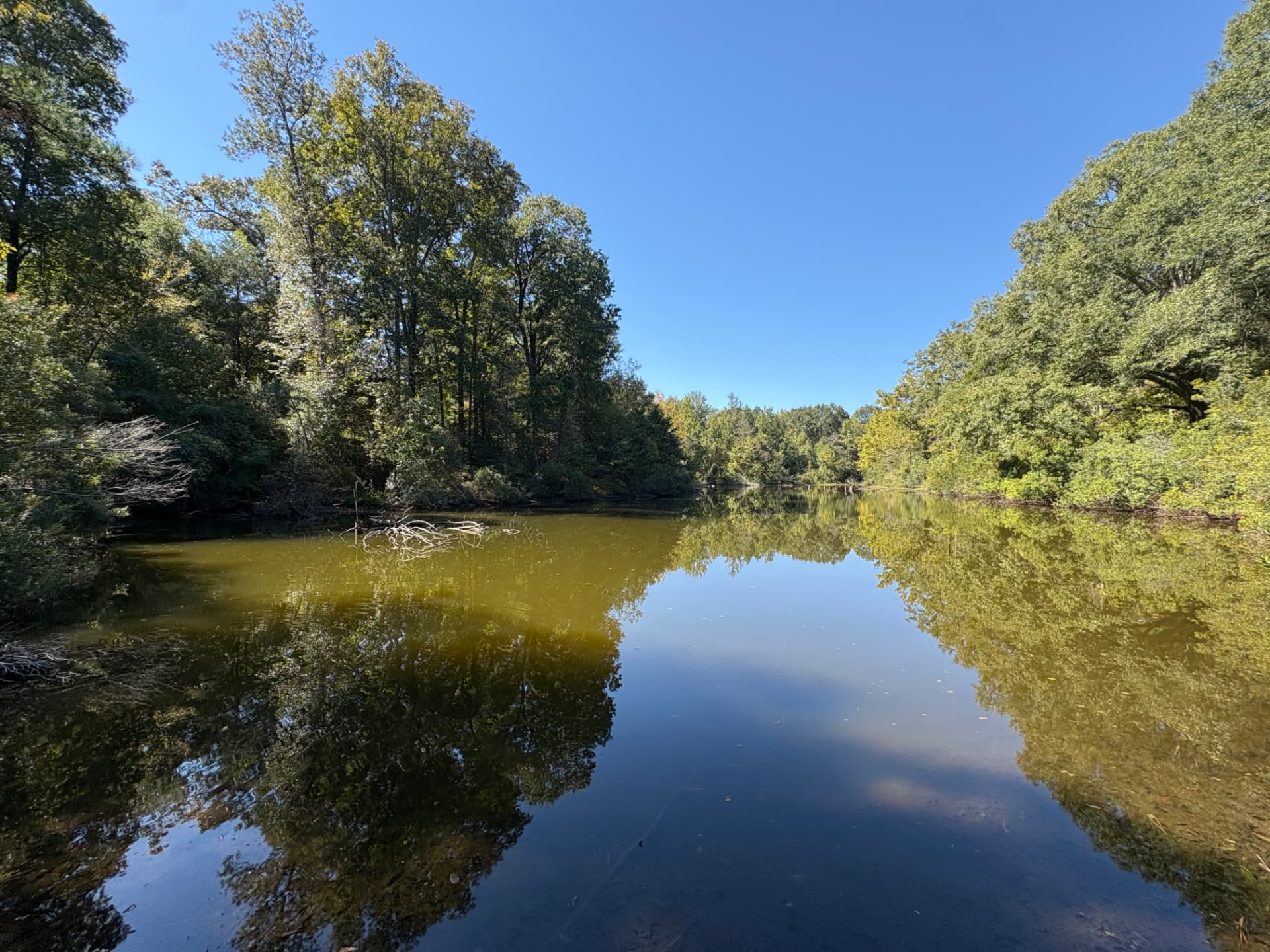 Wide view across the pond on a clear day
