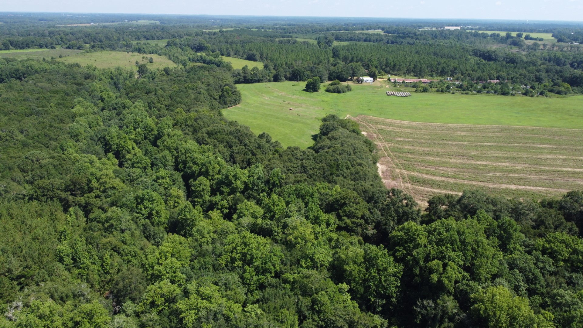 Aerial of dense timber surrounding the open pasture and crop ground, farm buildings in the distance