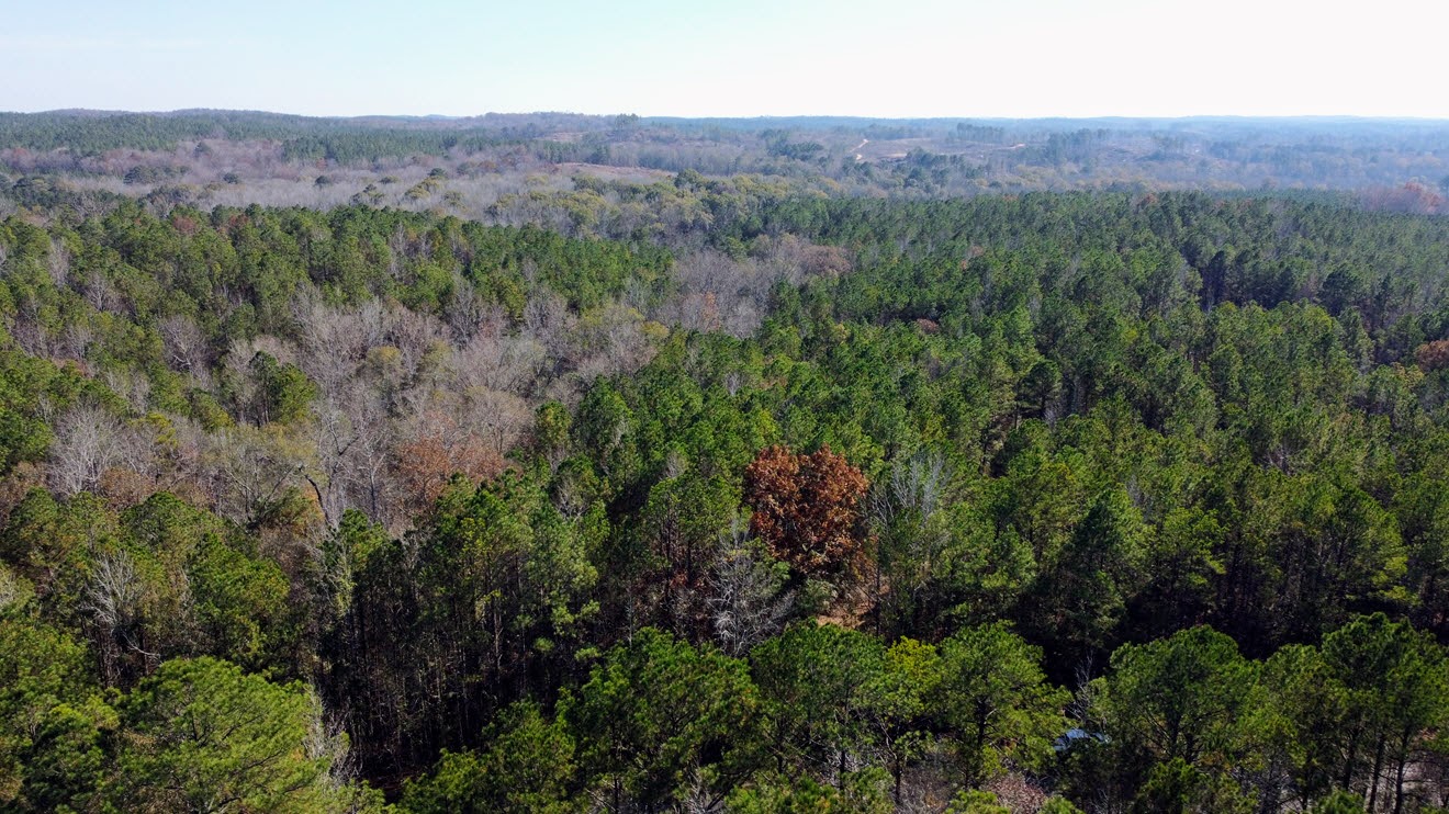 Aerial looking over mixed pine and hardwood stands at North Perry 130 Tract, Perry County, Alabama