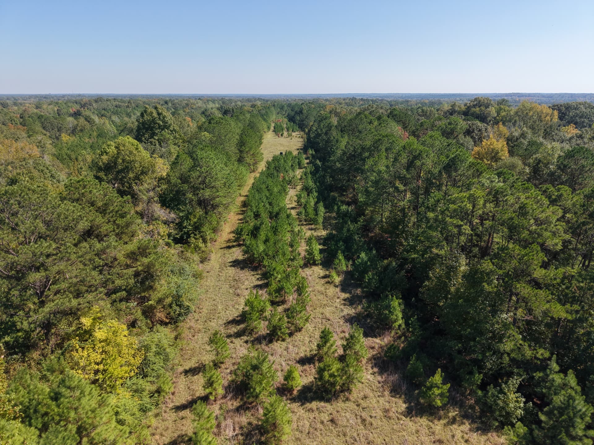 Aerial of the runway corridor with Marengo County timberland to the horizon