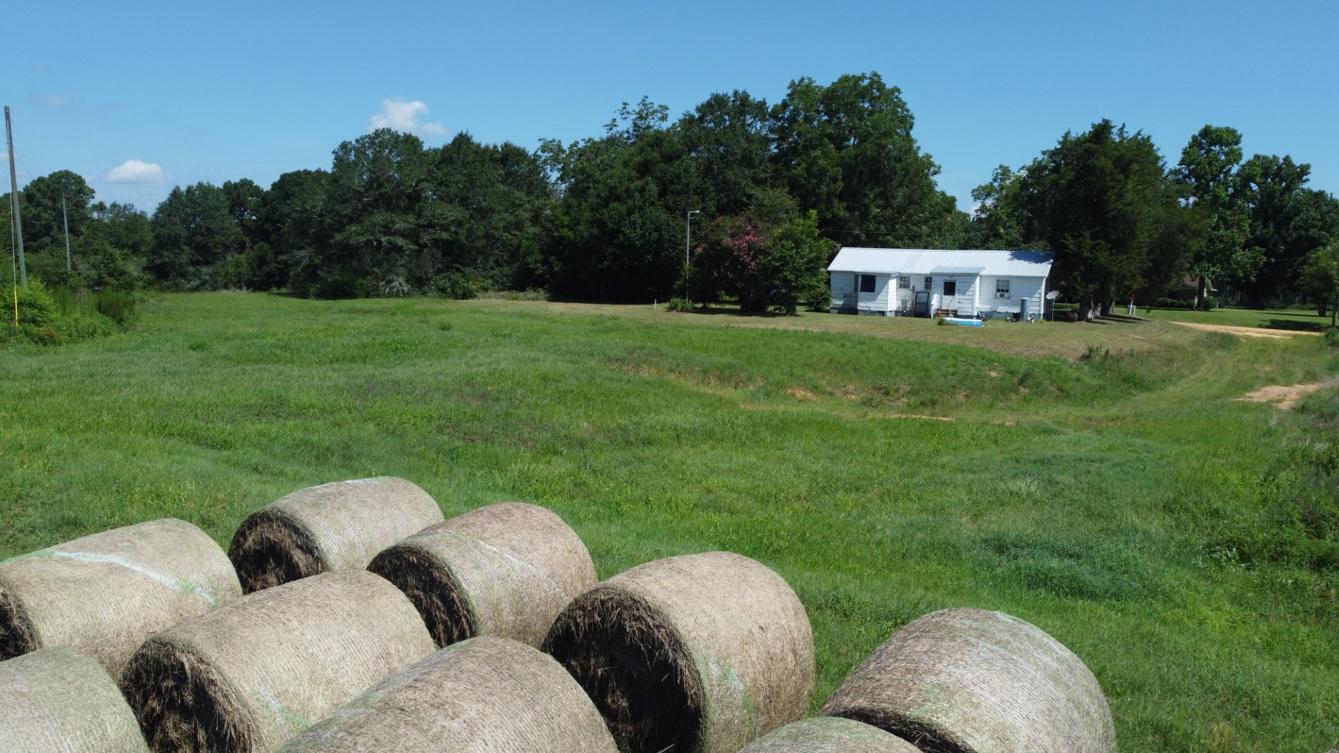 Round hay bales in the pasture with the residence and timber beyond