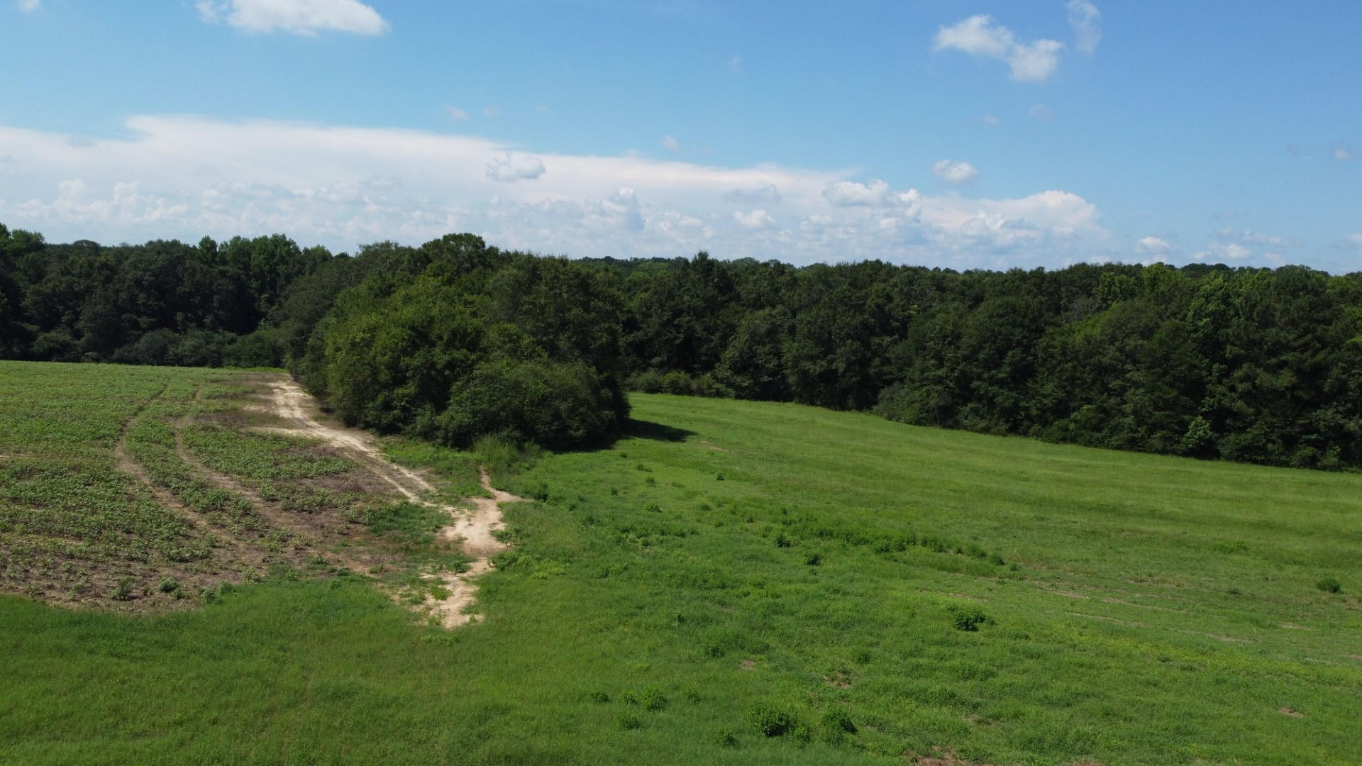Aerial of pasture and crop ground with a dirt path running into dense timber