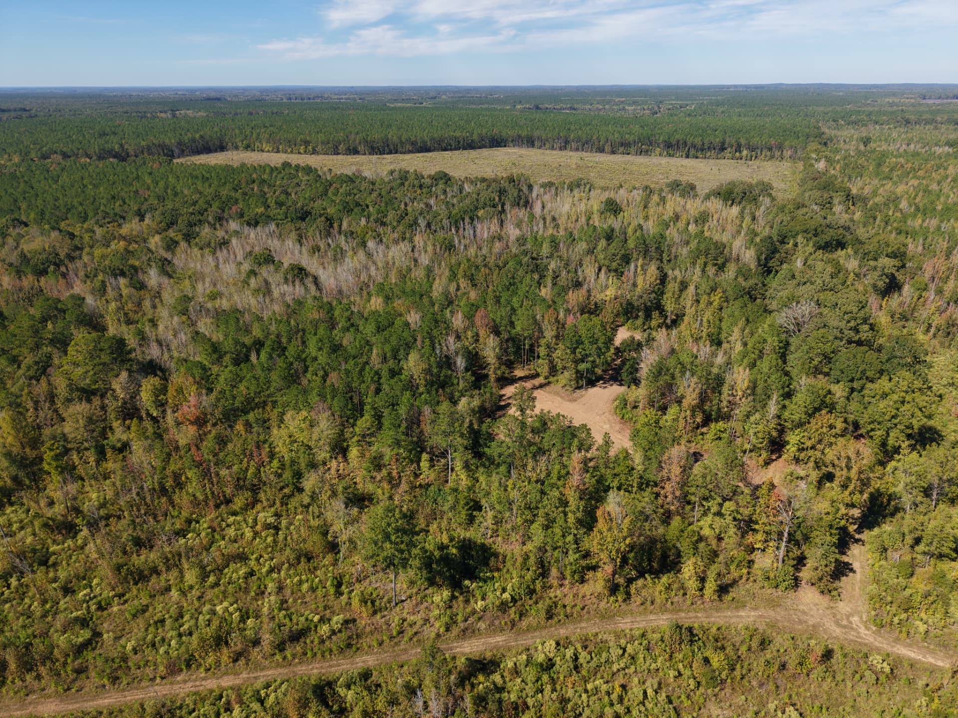 Wide aerial over Flatwood 40’s mixed timber and hunting openings at Flatwood 40 Tract, Marengo County, Alabama