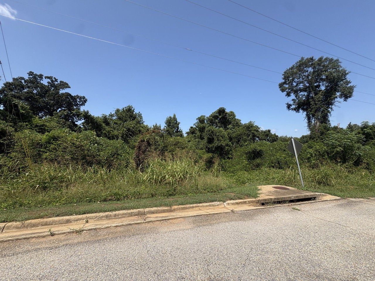 Wooded lot edge with the road in front