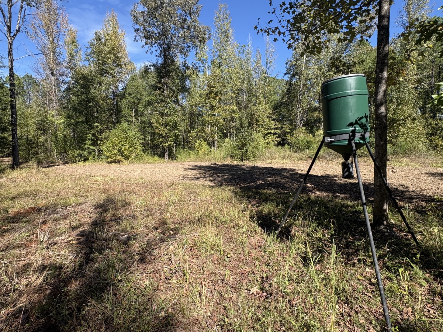 Wildlife feeder beside a woodland opening at Flatwood 40 Tract, Marengo County, Alabama