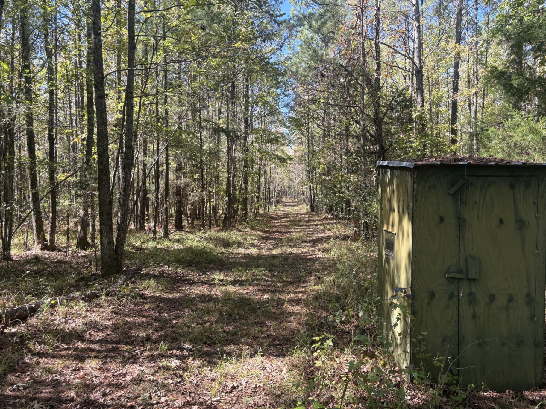 Shooting house alongside a woodland trail at Flatwood 40 Tract, Marengo County, Alabama