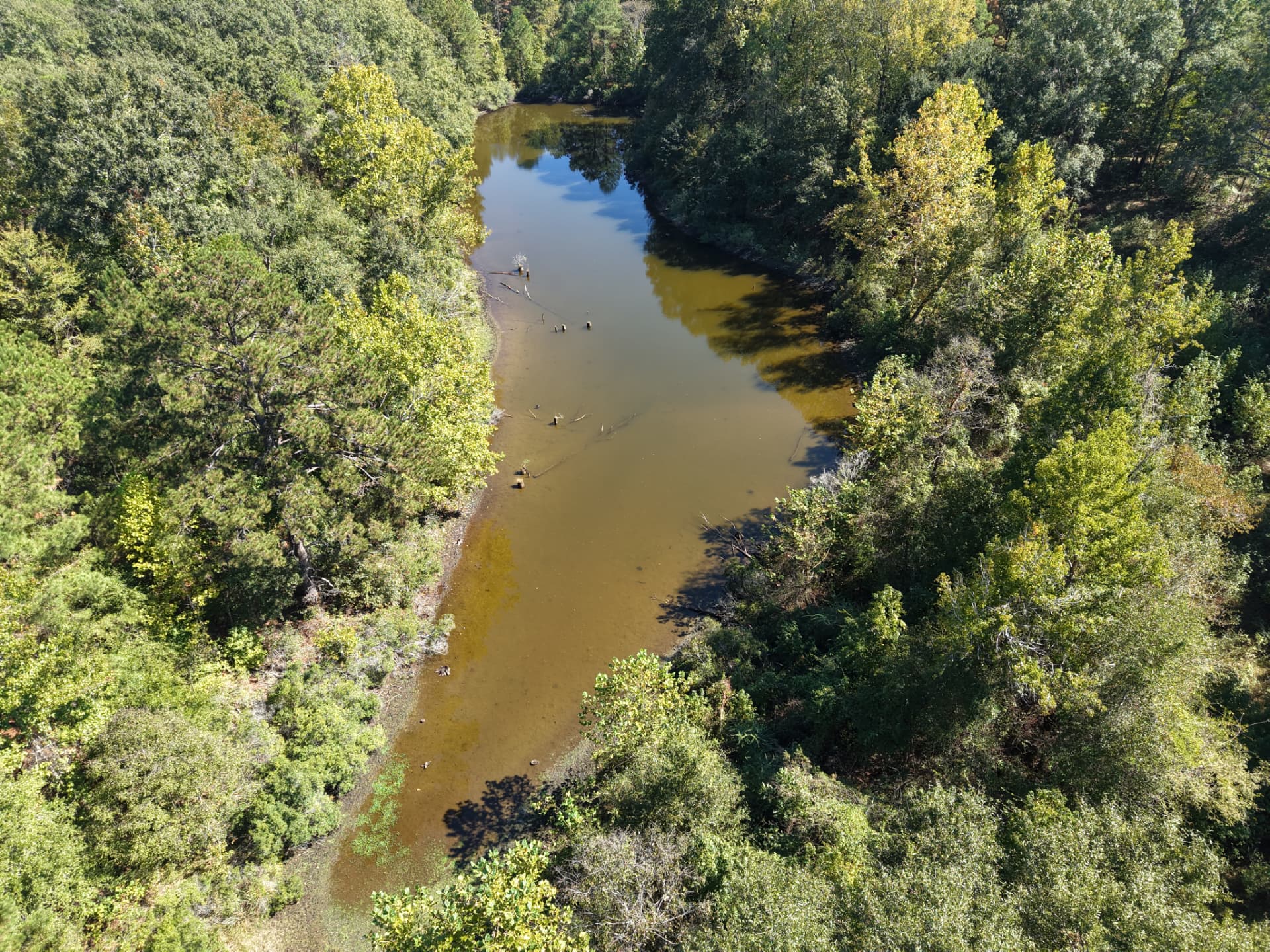 Aerial of the 2± acre pond winding through hardwood timber